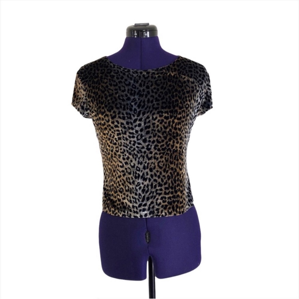 Leopard Print Velvet Short Sleeve Crop Top